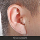 InTune ITC Pro Hearing Aids
