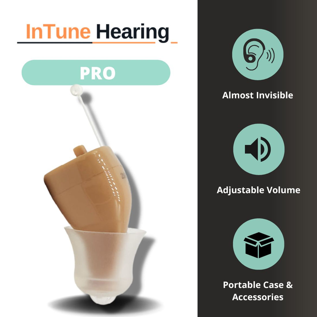 InTune ITC Pro Hearing Aids